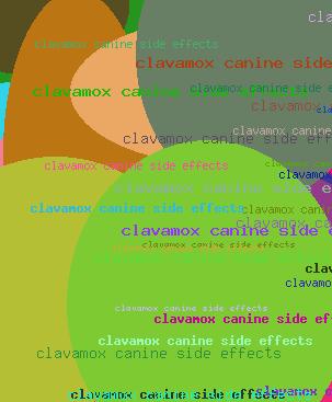 Clavamox canine side effects