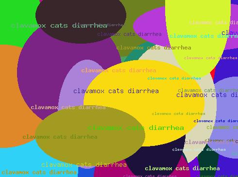 clavamox cats diarrhea