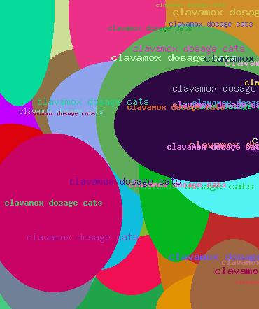 Clavamox dosage cats