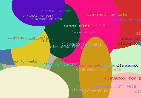 Clavamox For Pets